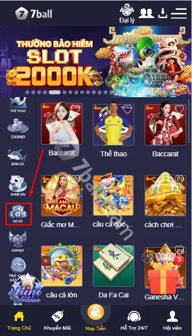 Tỷ Lệ Trả Thưởng Và Cách Đặt Cược Lô Đề Tại Sảnh Xổ Số 7Ball 7 Cách vào xổ số 7ball